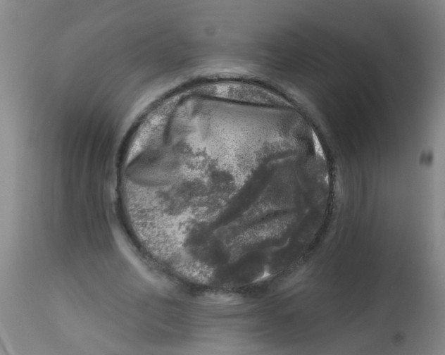 X0000113860582200910221443