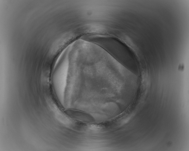 X0000113860585200910221443