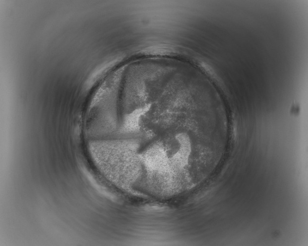X0000113860586200910221443