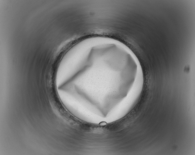 X0000113860587200910221443