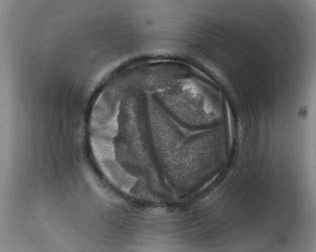 X0000113860588200910221443