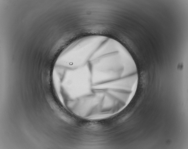 X0000113860589200910221443