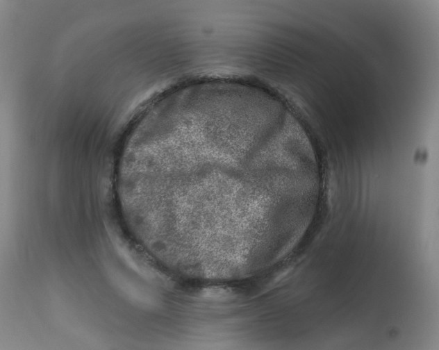X0000113860591200910221443