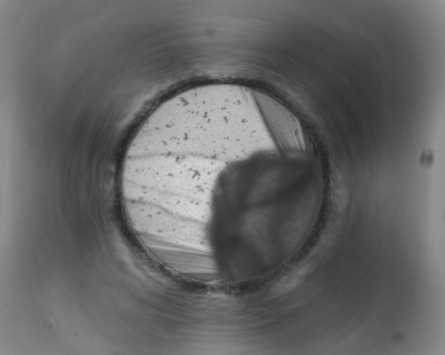 X0000113860592200910221443
