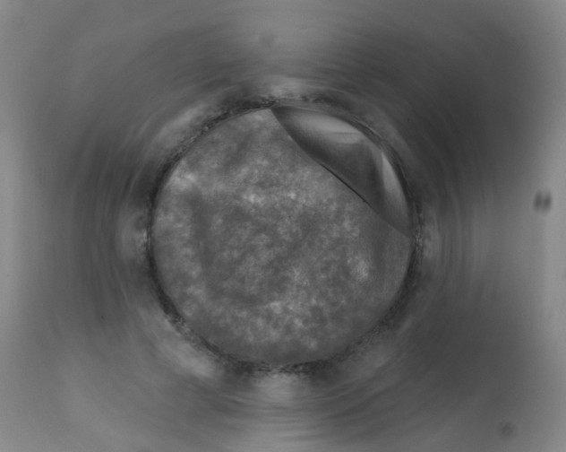 X0000113860593200910221443