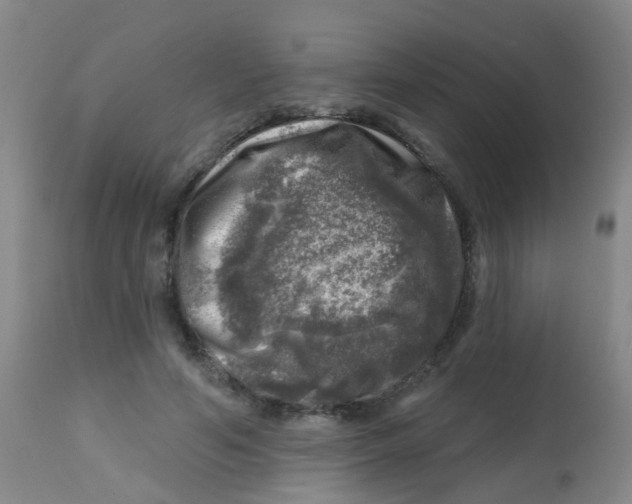 X0000113860594200910221443