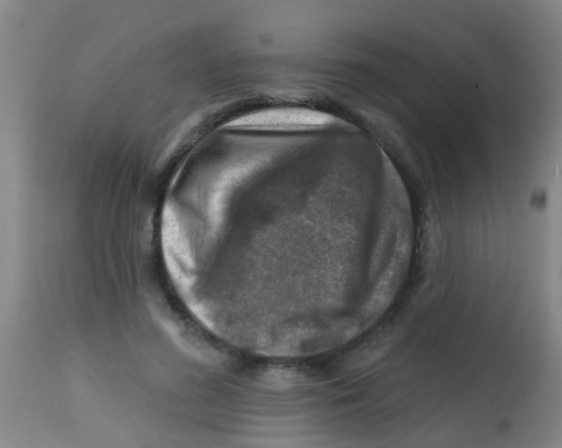 X0000113860596200910221443
