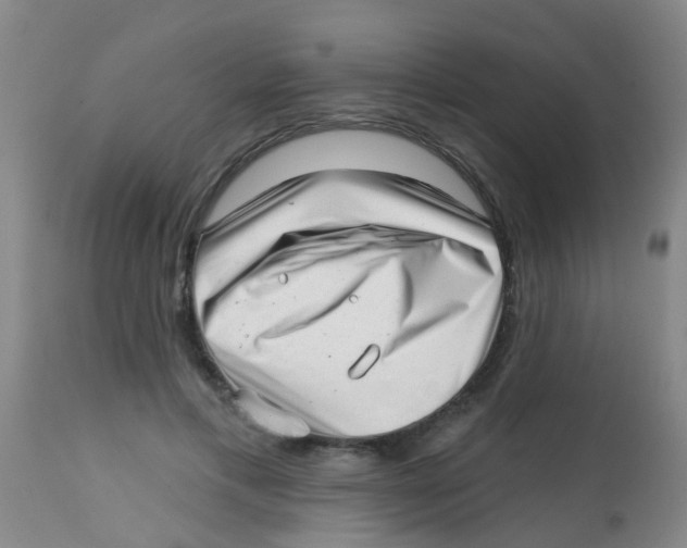 X0000113860597200910221443