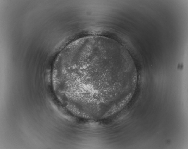 X0000113860598200910221443
