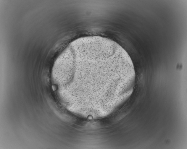X0000113860599200910221443