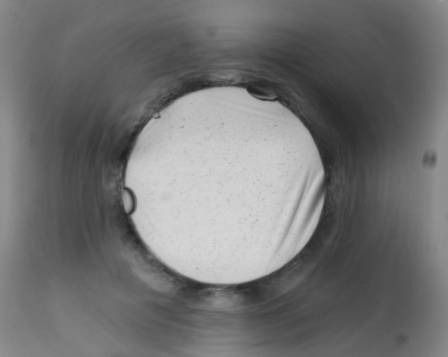 X0000113860601200910221443