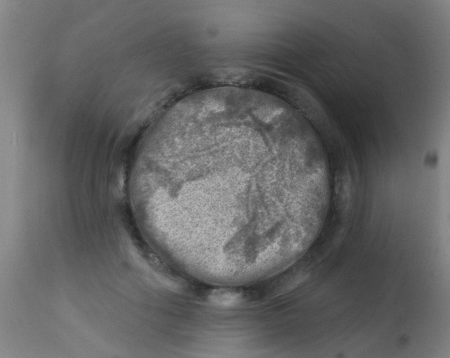 X0000113860602200910221443