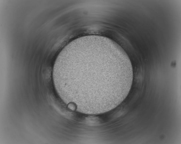 X0000113860603200910221443
