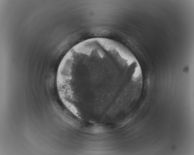 X0000113860604200910221443