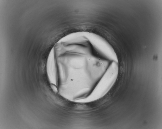 X0000113860605200910221443