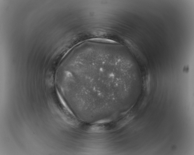 X0000113860606200910221443