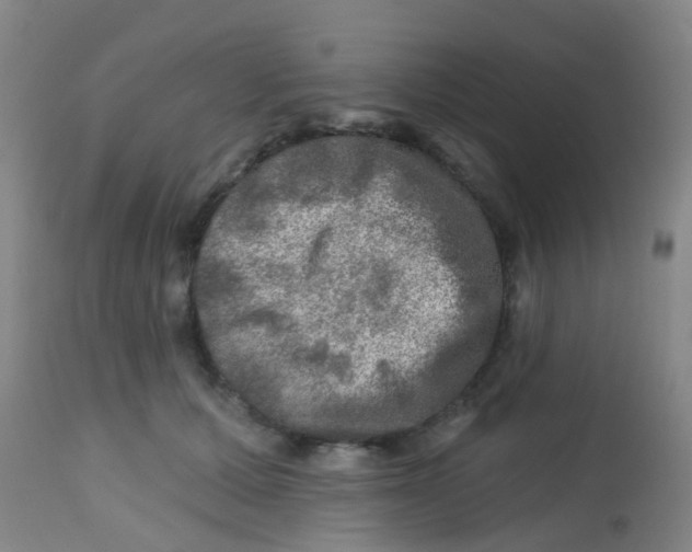 X0000113860607200910221443