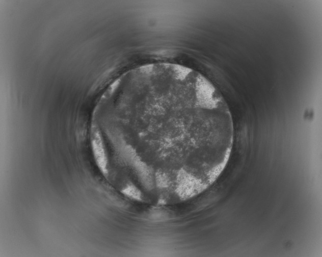X0000113860608200910221443