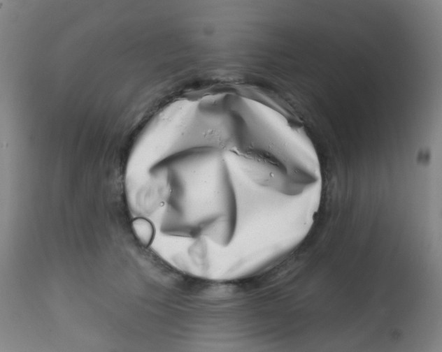 X0000113860609200910221443
