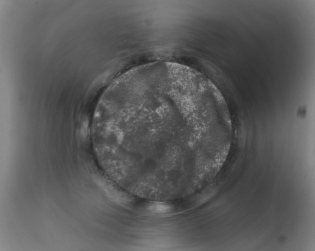 X0000113860610200910221443