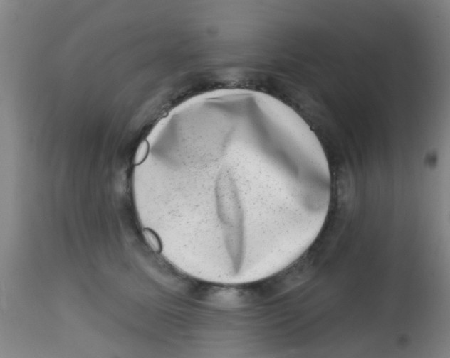X0000113860611200910221443