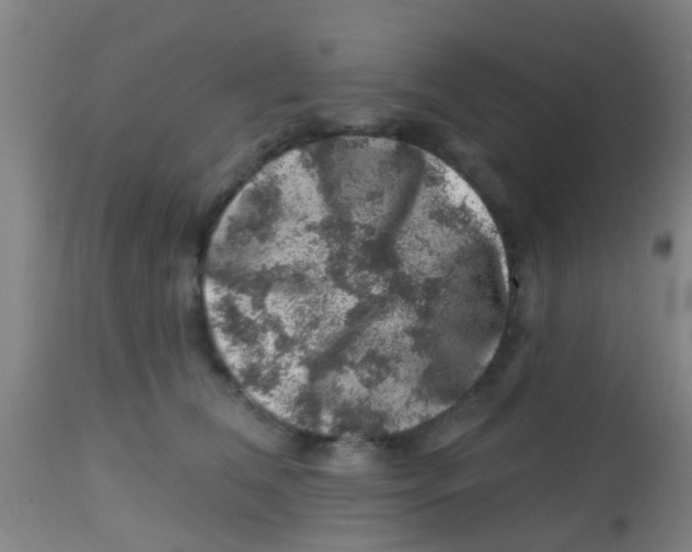 X0000113860612200910221443
