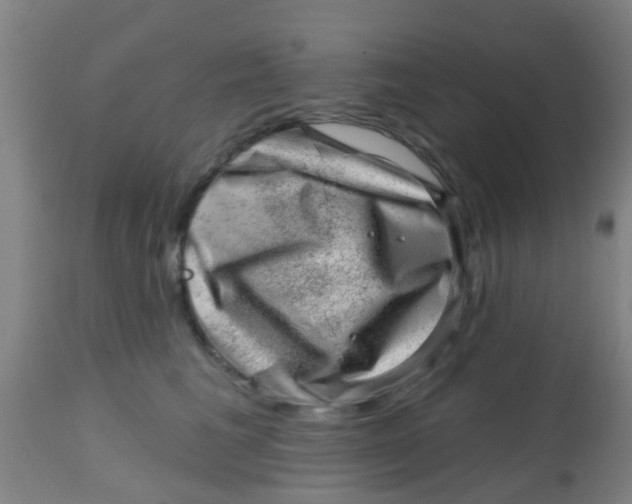 X0000113860613200910221443