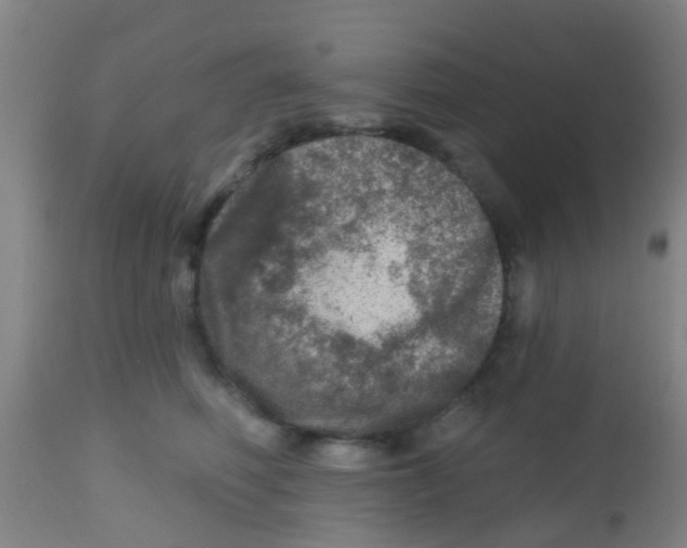 X0000113860614200910221443