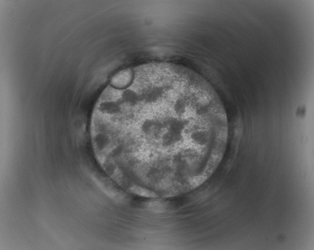 X0000113860615200910221443