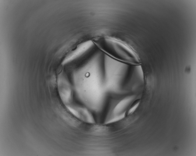 X0000113860617200910221443