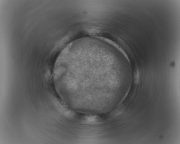 X0000113860618200910221442