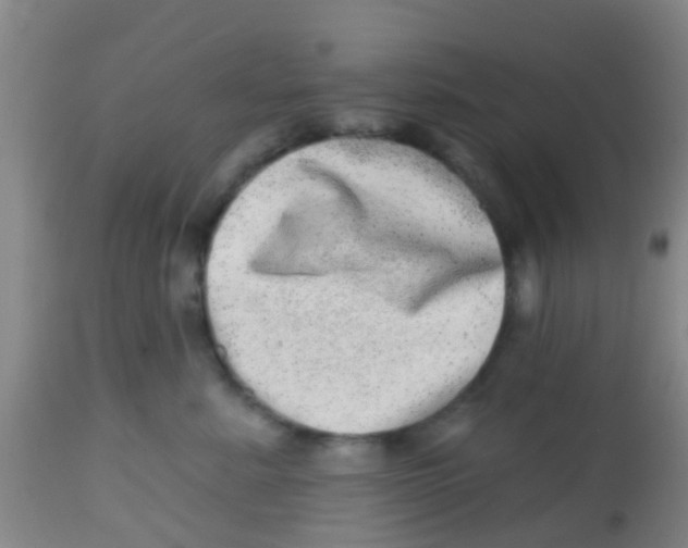 X0000113860619200910221442