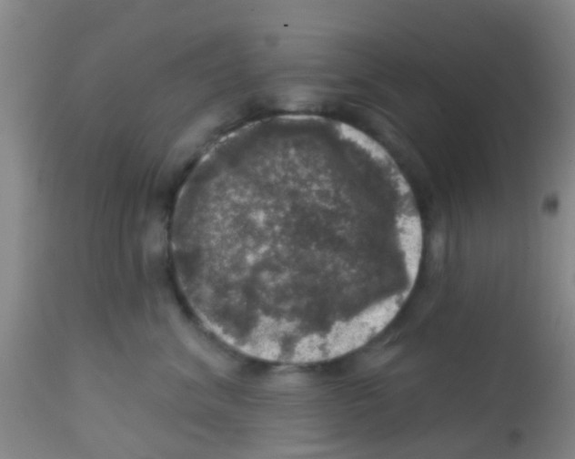 X0000113860620200910221442