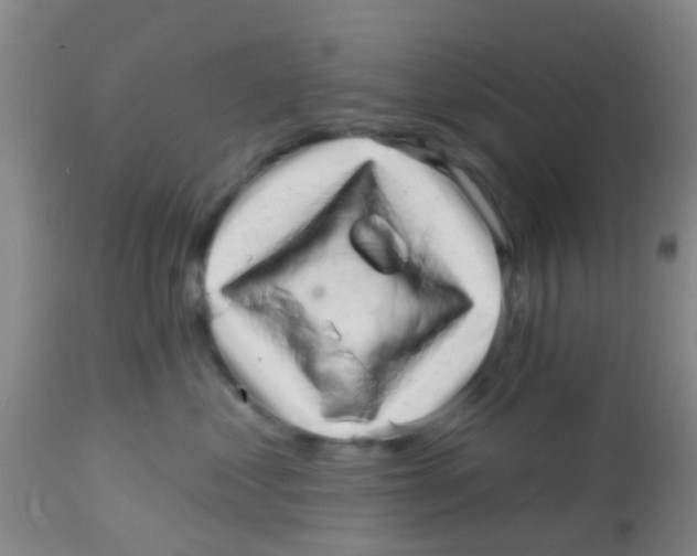 X0000113860621200910221442