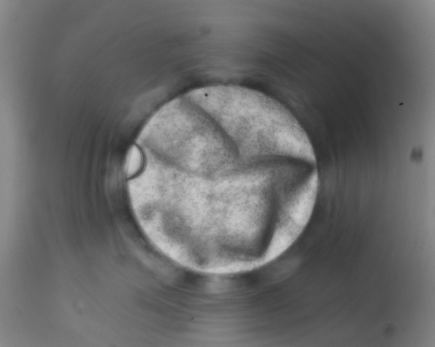 X0000113860623200910221442