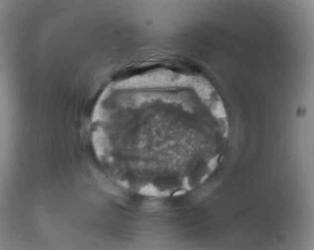 X0000113860624200910221442