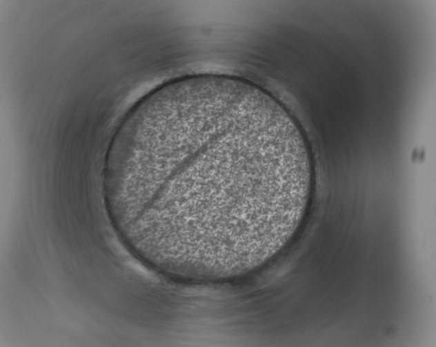 X0000113860625200910221442