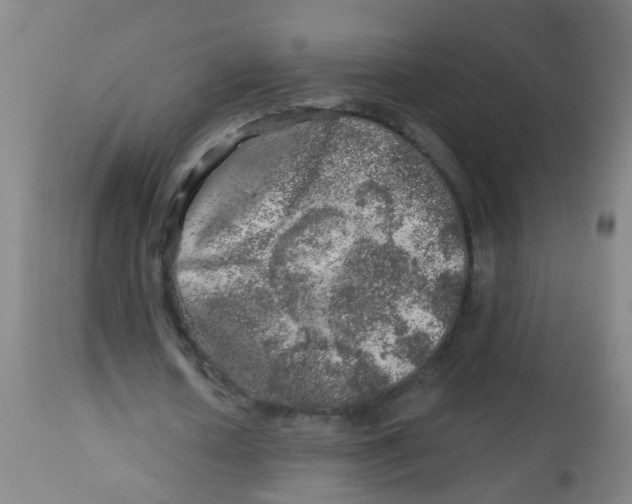X0000113860626200910221442