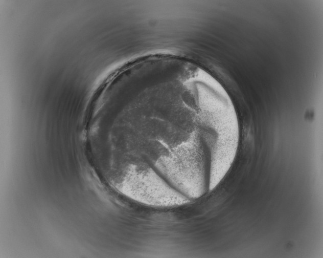 X0000113860628200910221442