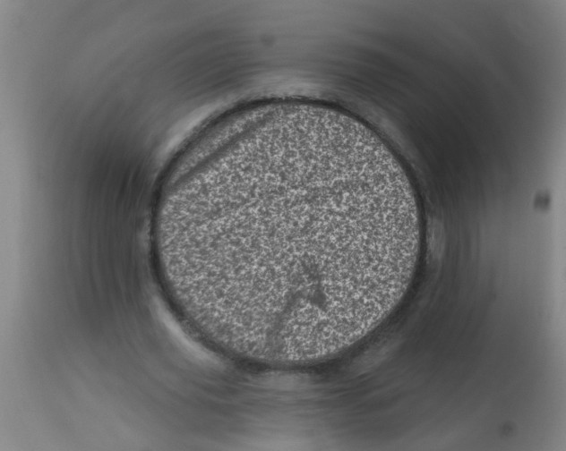 X0000113860629200910221442