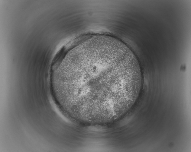 X0000113860630200910221442