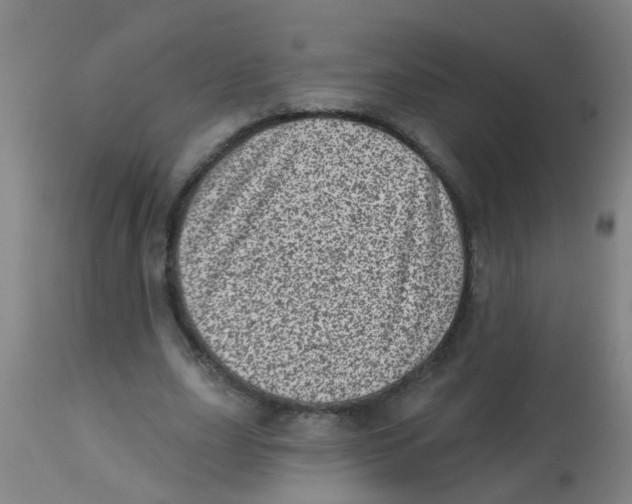 X0000113860631200910221442
