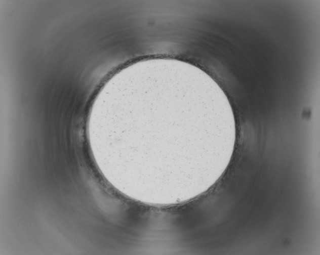 X0000113860632200910221442