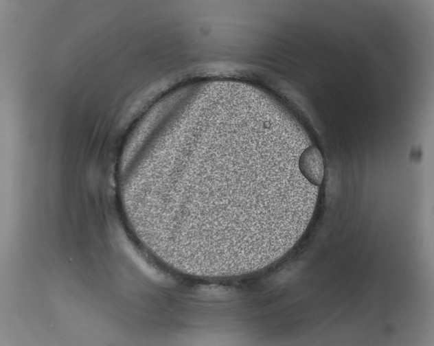 X0000113860633200910221442