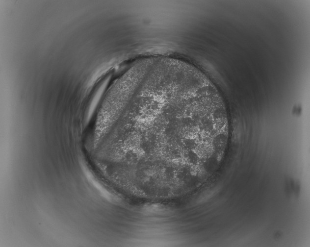 X0000113860634200910221442