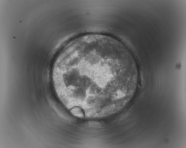 X0000113860636200910221442