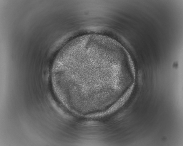 X0000113860637200910221442
