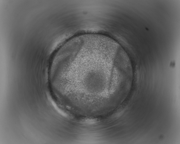 X0000113860638200910221442