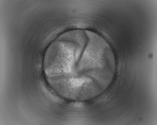 X0000113860639200910221442