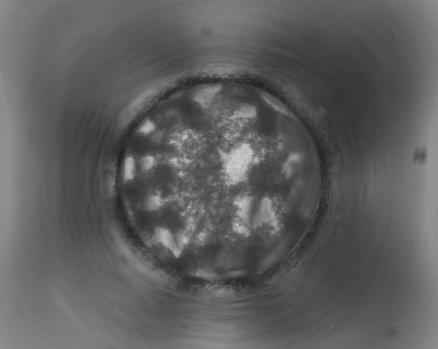 X0000113860640200910221442